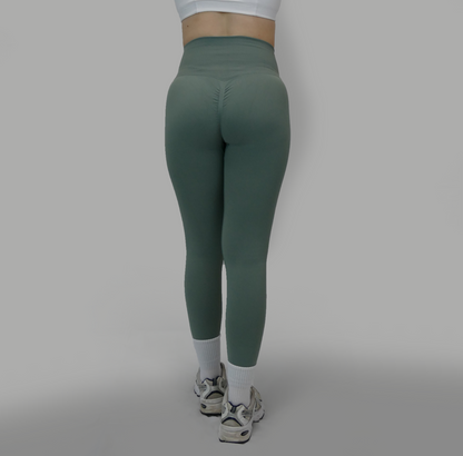 Scrunch Seamless Legging (Sage green)